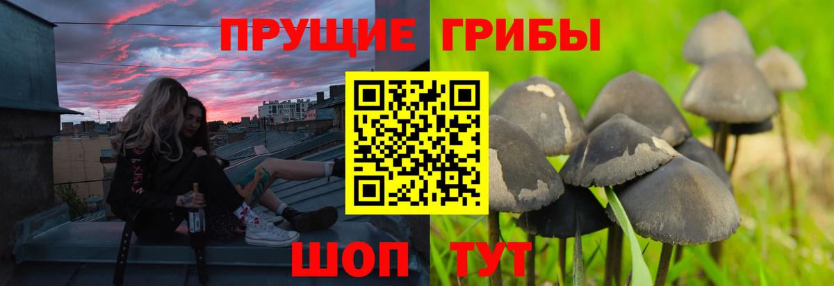 Псилоцибиновые грибы мицелий  Вход с VPN  Чапаевск 