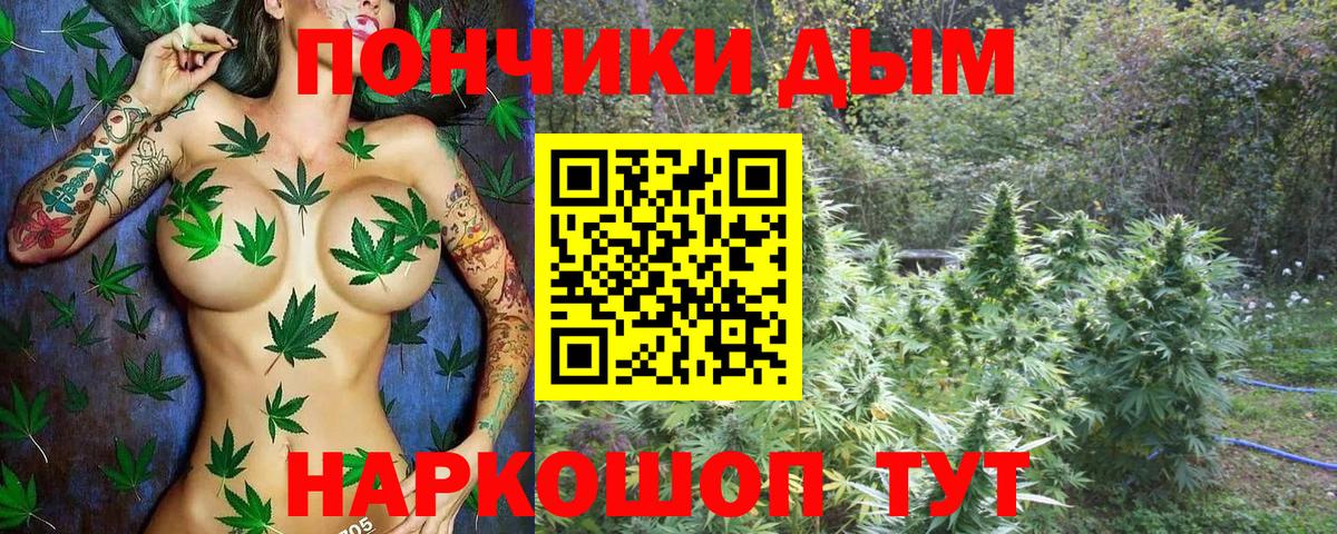 МАРИХУАНА планчик  Вход с VPN  Каннабис Bruce Banner  Чапаевск  МАРИХУАНА семена  Бошки марихуана тримм 